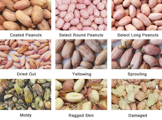 Peanut-Color-Sorter2