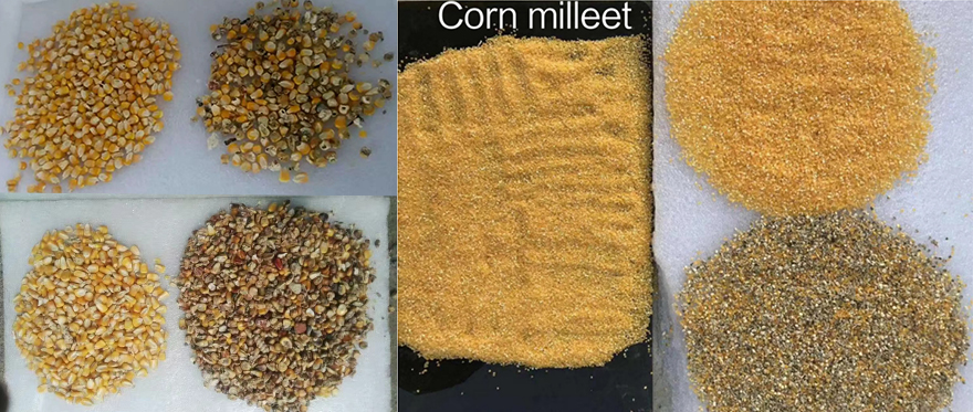 Corn Sorting Examples