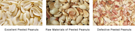 Peanut-Color-Sorter3