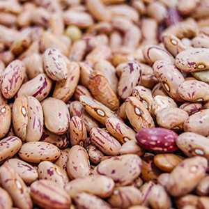 Kidney Beans Sorting