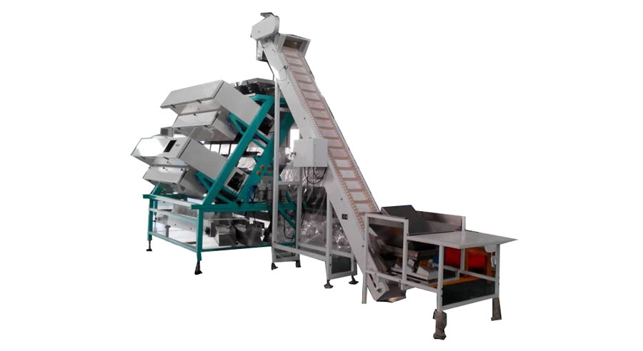 The-wheat-harvest-of-Pinellia-ternata-in-full-swing