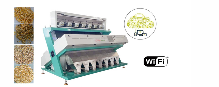 Corn color sorter
